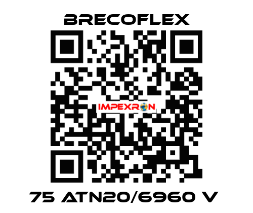 75 ATN20/6960 V  Brecoflex