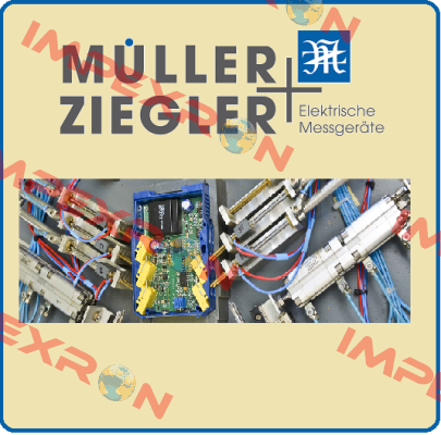 100286 Ziegler