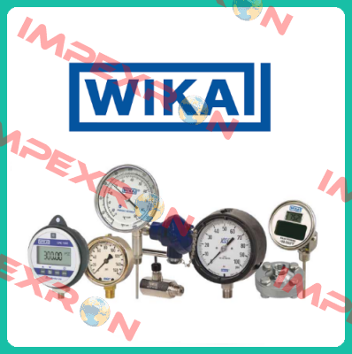 233.50 Pressure Gauge  Wika