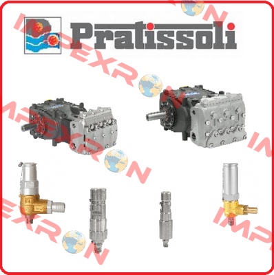 Pumpe KF 40-INOX-rechts (M220040000)  Pratissoli