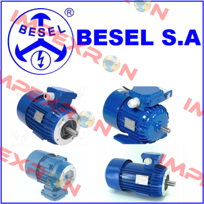 Motor 2SIEK 80 X-4C  BESEL S.A.