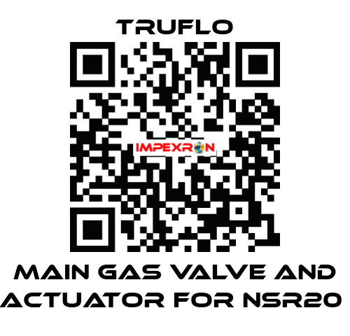 Main Gas Valve and Actuator For NSR20  TRUFLO