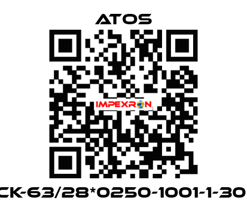 CK-63/28*0250-1001-1-30  Atos