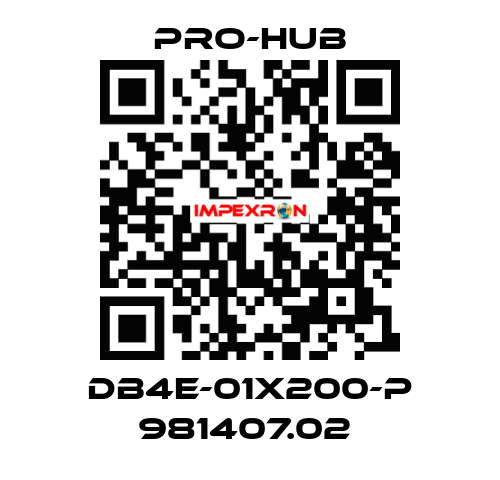 DB4E-01X200-P 981407.02  Pro-Hub