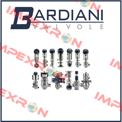 DN 25 ZVF BUTTERFLY VALVE MAINTENANCE KIT  Bardiani Valvole