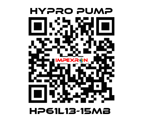 HP61L13-15MB  Hypro Pump