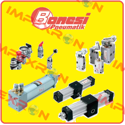 Packing Kit for 9402200  Bonesi Pneumatic