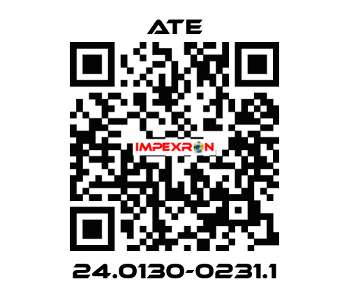 24.0130-0231.1 Ate