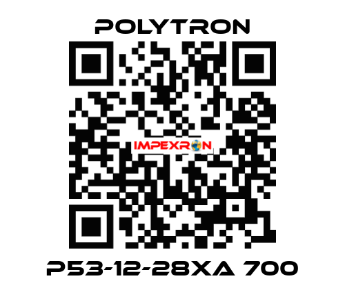 P53-12-28XA 700 Polytron