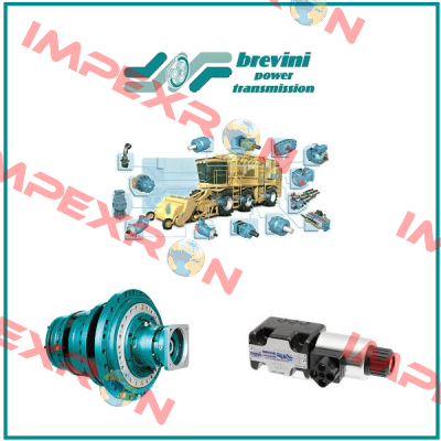 1110-9900-0003 (OEM) Brevini