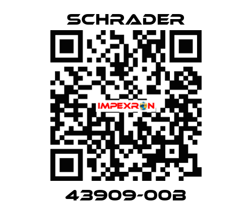 43909-00B Schrader