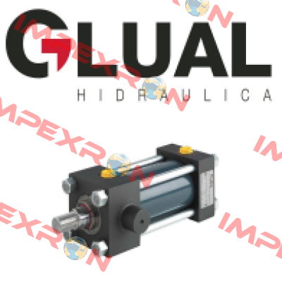 KI-25/12X200-Y303-1-AD-A-M-30 Glual Hydraulics