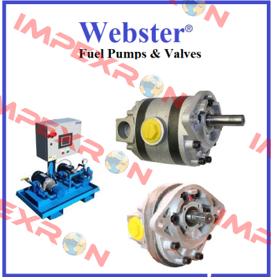 POMPE INLET EXTENSION CHECK VALVE  Webster