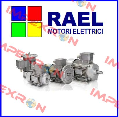 RL SPECIAL VOLTAGE RAEL MOTORI ELETTRICI