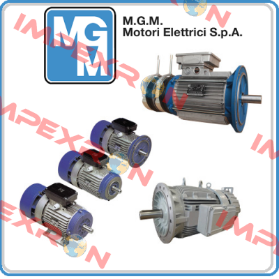 Magnet for motor 71 AC M.G.M MOTORI