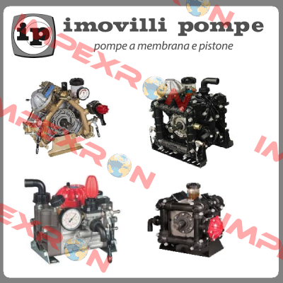 45569 Imovilli pompe