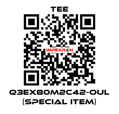 Q3EX80M2C42-OUL (special item) TEE