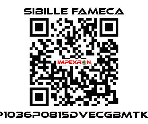 VDP1036P0815DVECGBMTKRI1T Sibille Fameca