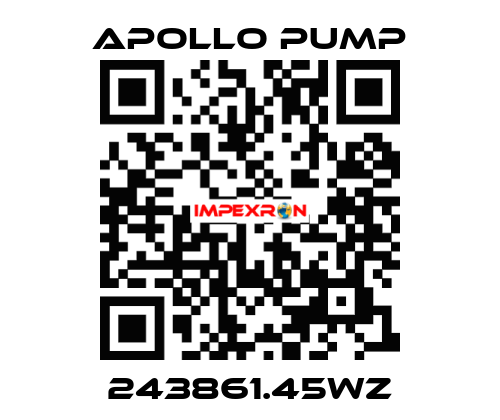 243861.45WZ Apollo pump