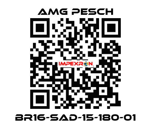 BR16-SAD-15-180-01 AMG Pesch