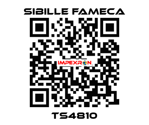 TS4810 Sibille Fameca