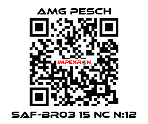 SAF-BR03 15 NC n:12 AMG Pesch