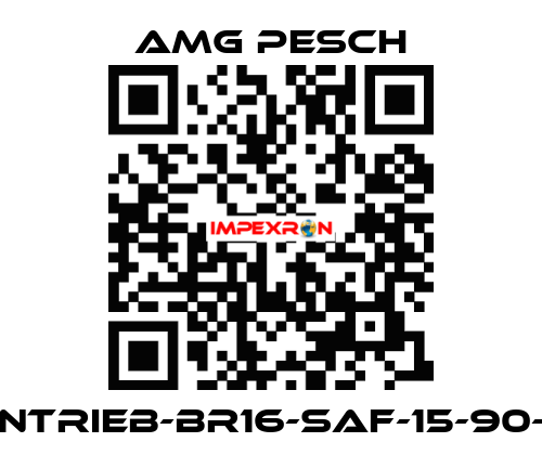 AMG-Antrieb-BR16-SAF-15-90-01-n=12 AMG Pesch