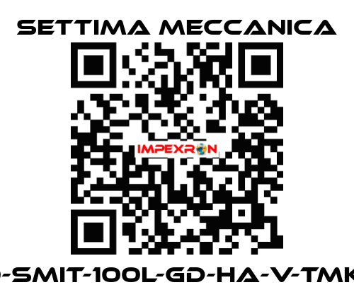 GR40-SMIT-100L-GD-HA-V-TMK-CSM Settima Meccanica