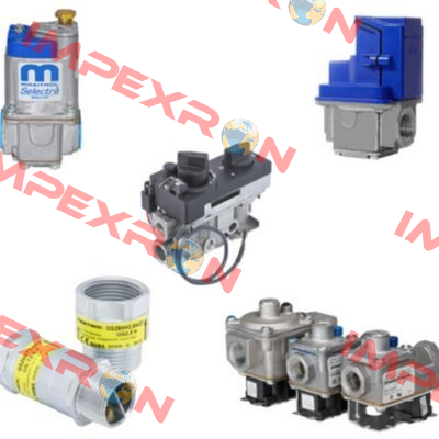 5031 / 66 / G R 500 SM - M017 ;gas pressure regulator Maxitrol