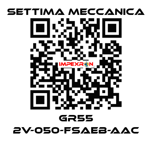 GR55 2V-050-FSAEB-AAC Settima Meccanica