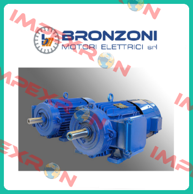 C00.021 Bronzoni