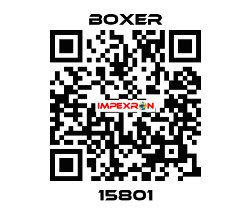 15801 Boxer