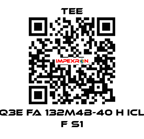 Q3E FA 132M4B-40 H Icl F S1 TEE