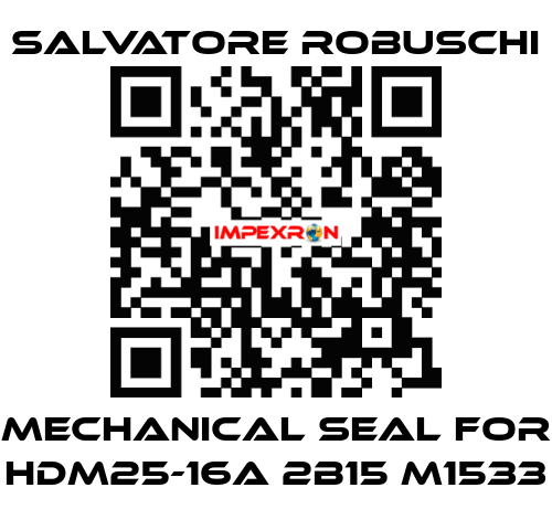 mechanical seal for HDM25-16A 2B15 M1533 SALVATORE ROBUSCHI