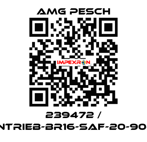 239472 / AMG-Antrieb-BR16-SAF-20-90-01-n=12 AMG Pesch