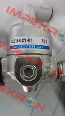 DZU.021-01 Bachofen