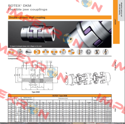 D02090018  Rotex